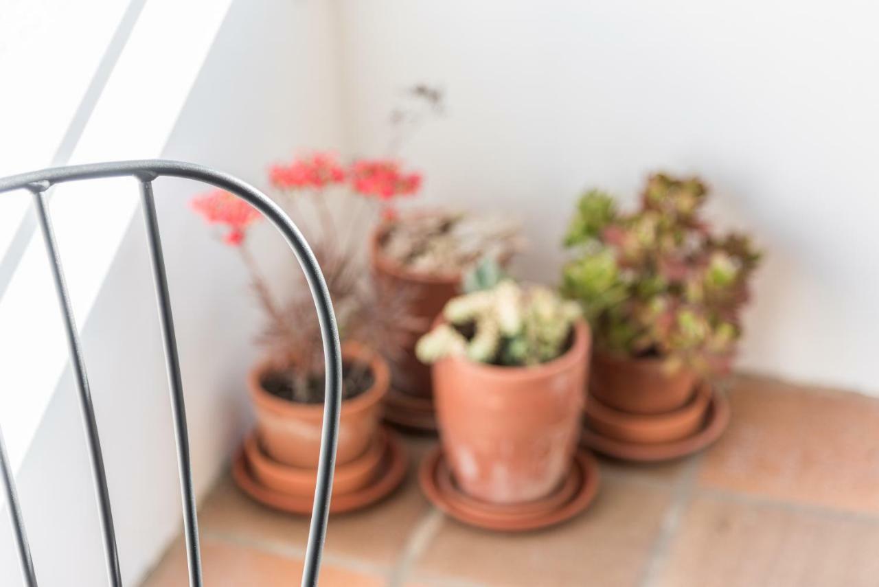 Apartamento Guestready - Cactus Balcony - Free Private Parking Oporto